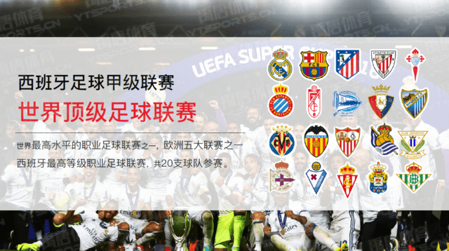 纽卡斯尔新援前锋表现不佳，转会费花销巨大，球队成绩欠佳。